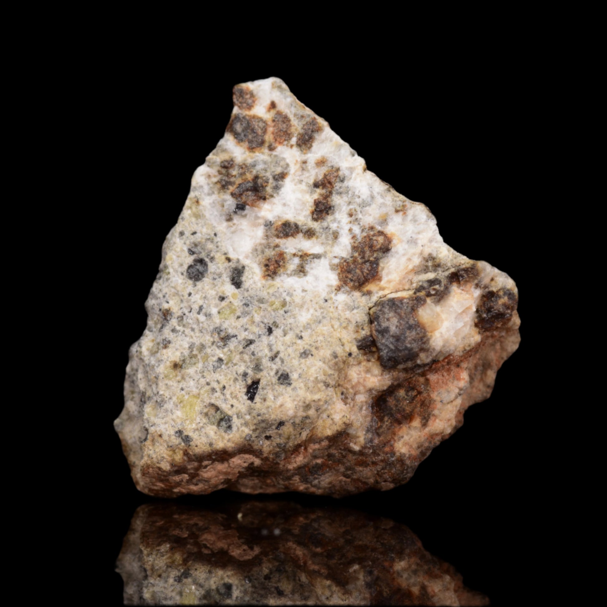 NWA 14868 Diogenite PM 1.0 G.