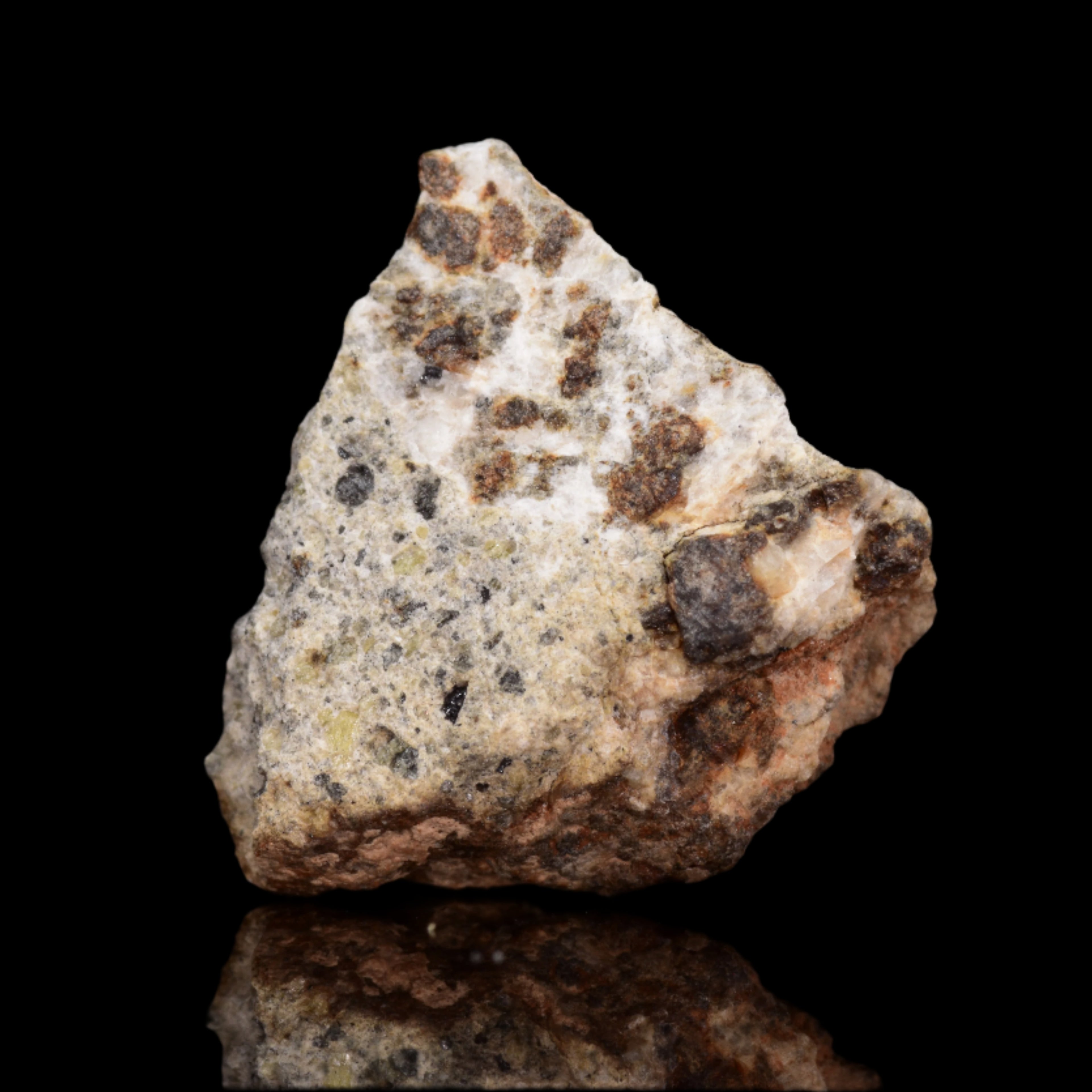 NWA 14868 Diogenite Meteorite – Polymict HED Achondrite for Sale
