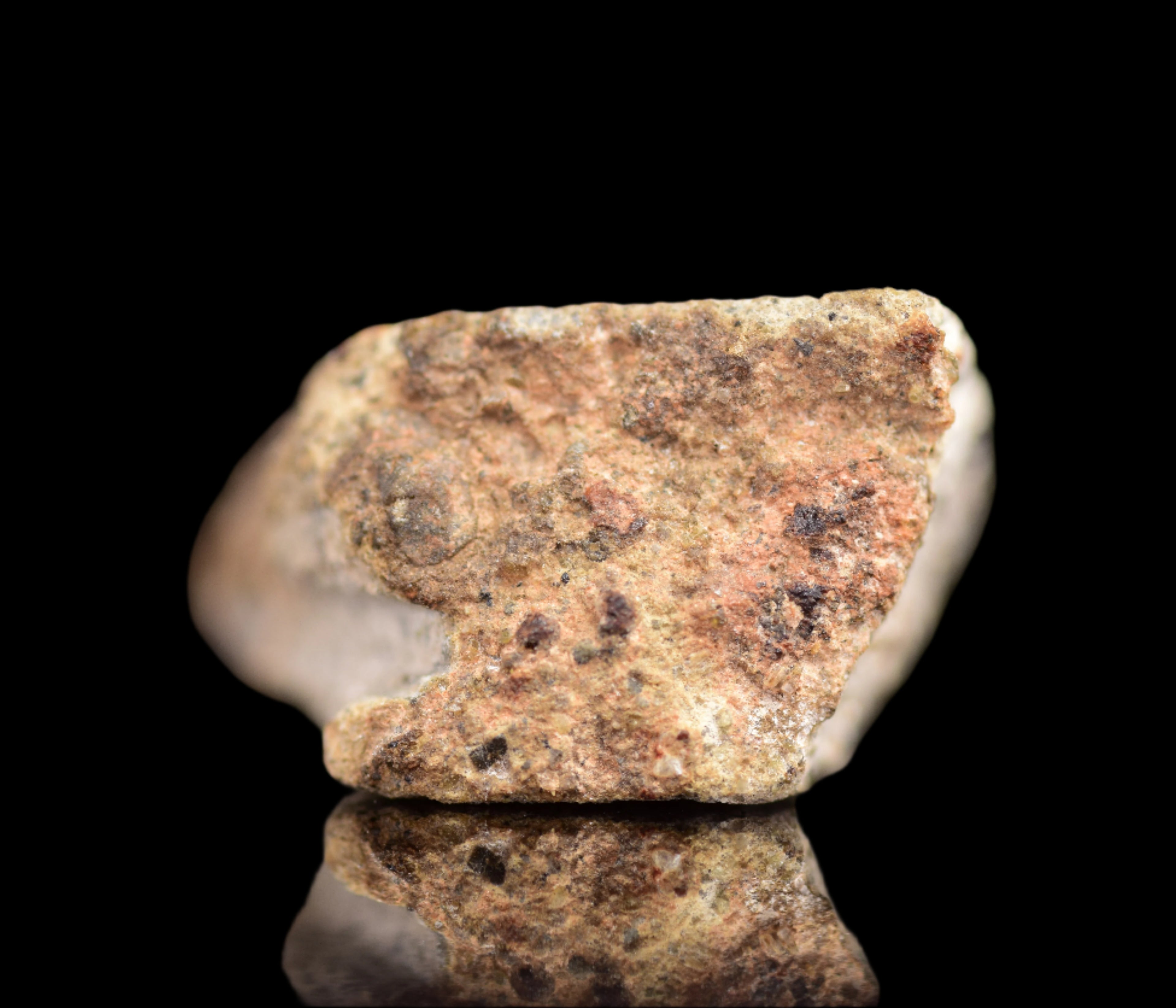 NWA 14868 Diogenite Meteorite – Polymict HED Achondrite for Sale