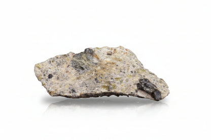 NWA 14868 Diogenite PM 0.42 G.