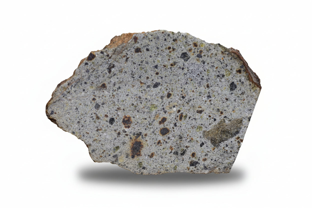 NWA 14868 Diogenite Meteorite – Polymict HED Achondrite end cut