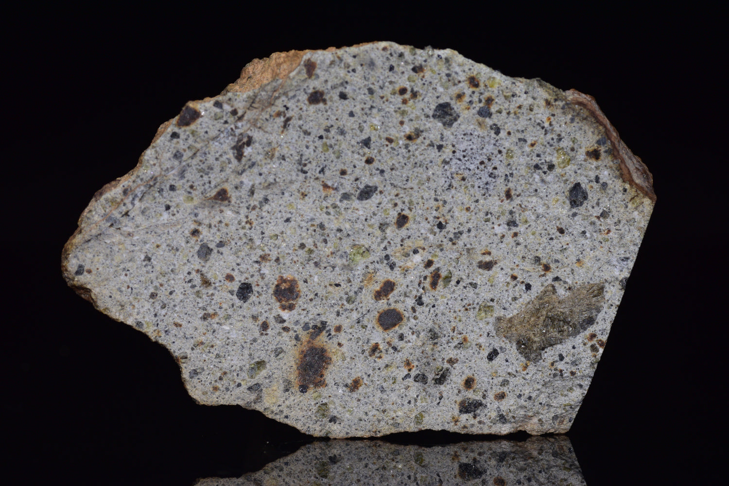 NWA 14868 Diogenite Meteorite – Polymict HED Achondrite end cut