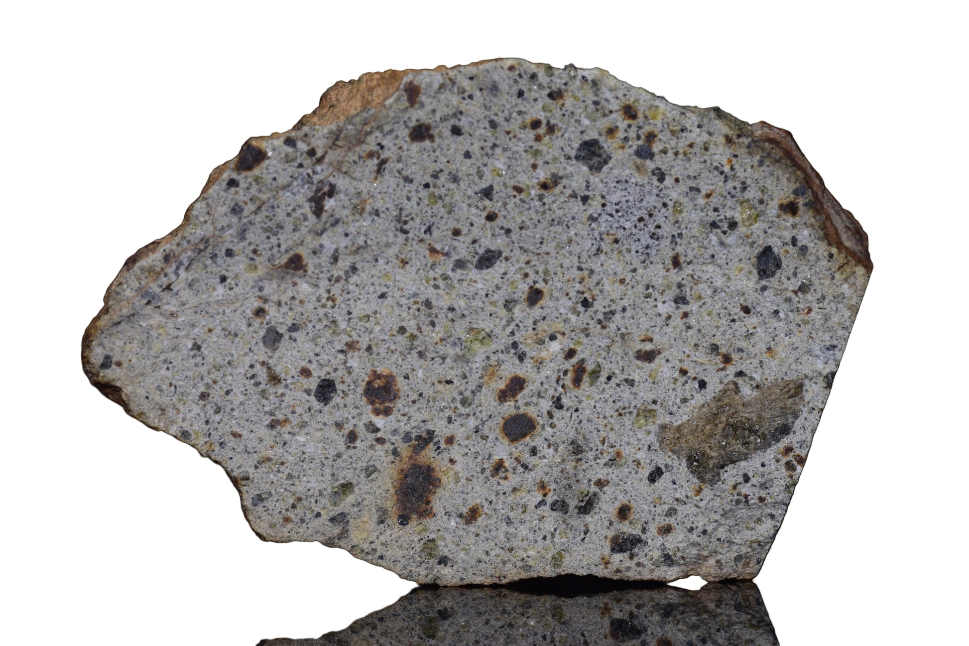 NWA 14868 Diogenite Meteorite – Polymict HED Achondrite end cut