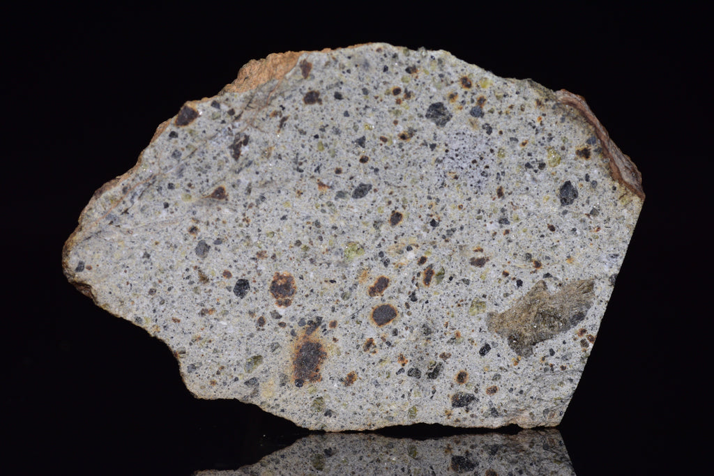 NWA 14868 Diogenite Meteorite – Polymict HED Achondrite end cut