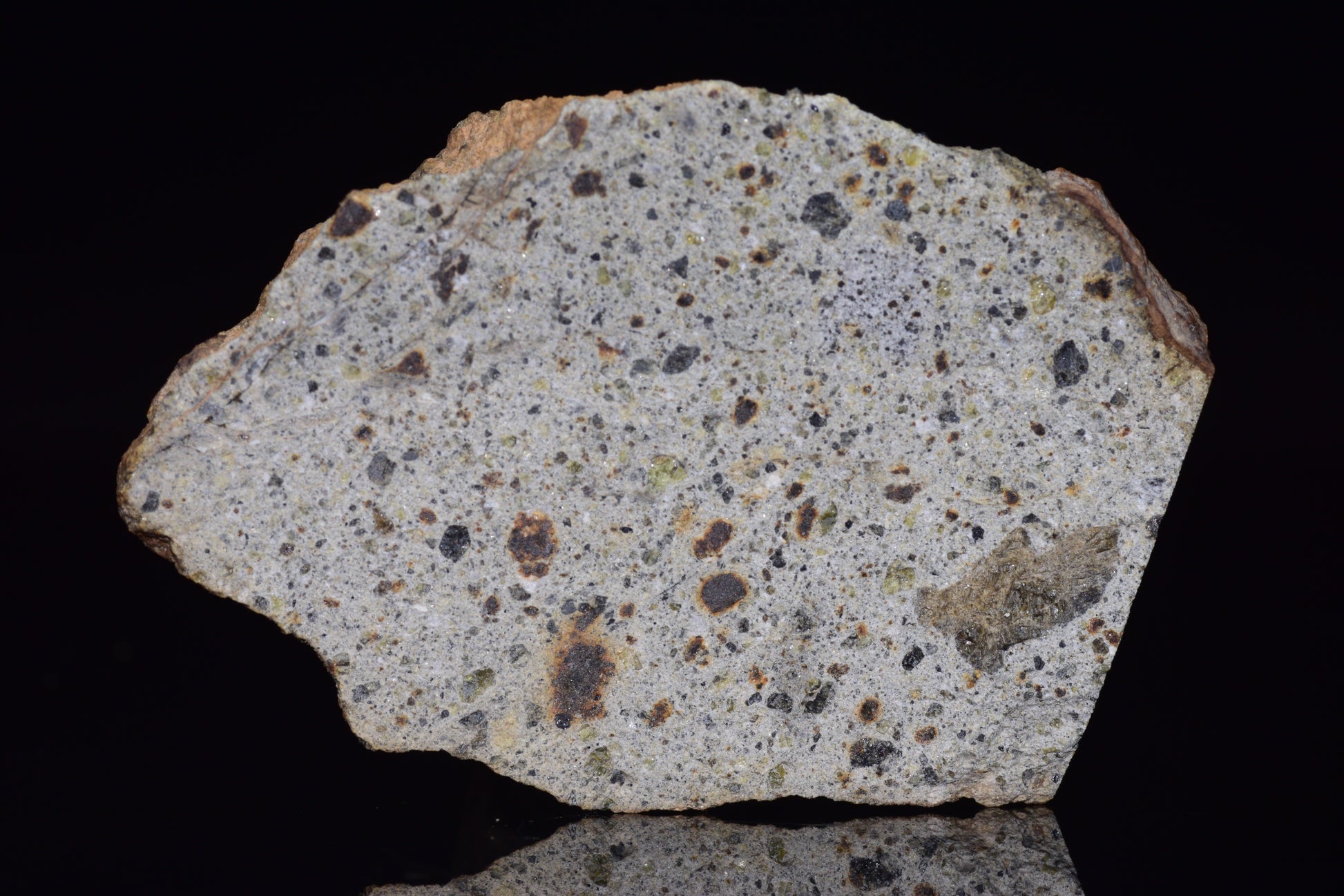 NWA 14868 Diogenite Meteorite – Polymict HED Achondrite end cut