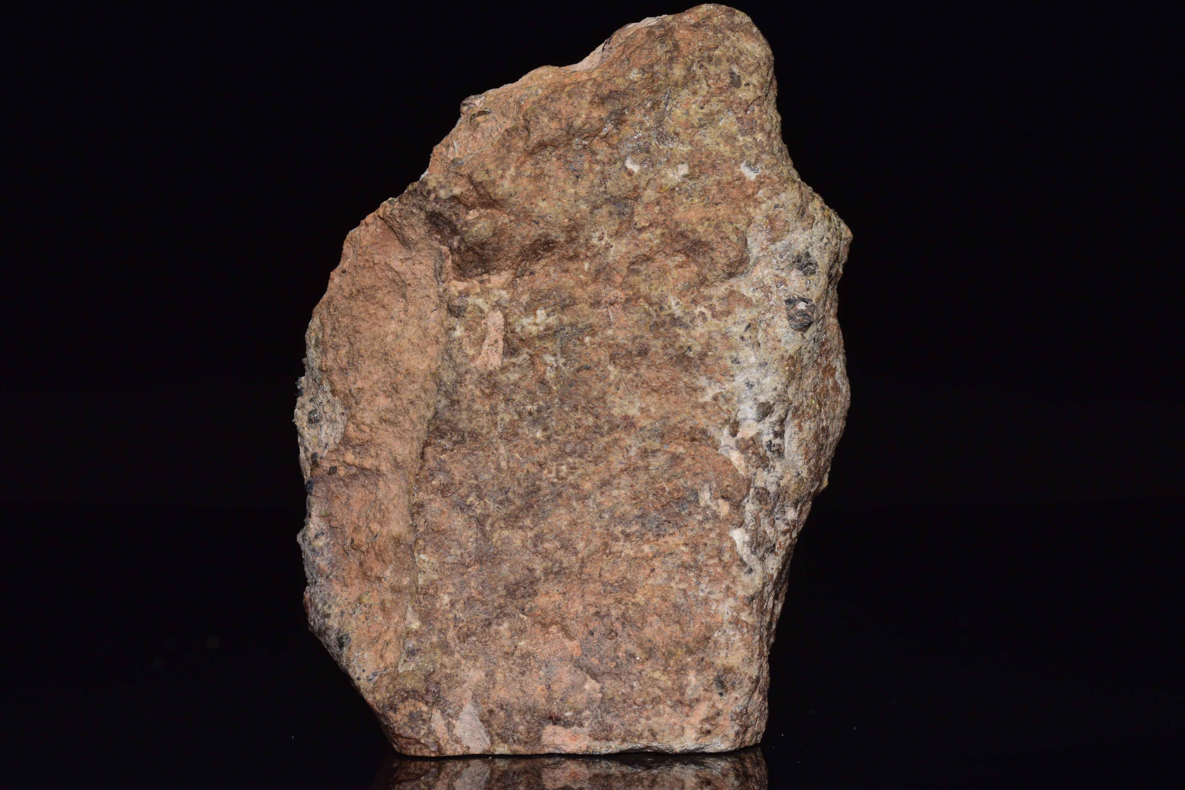 NWA 14868 Diogenite Meteorite – Polymict HED Achondrite end cut