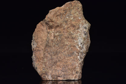 NWA 14868 Diogenite Meteorite – Polymict HED Achondrite end cut