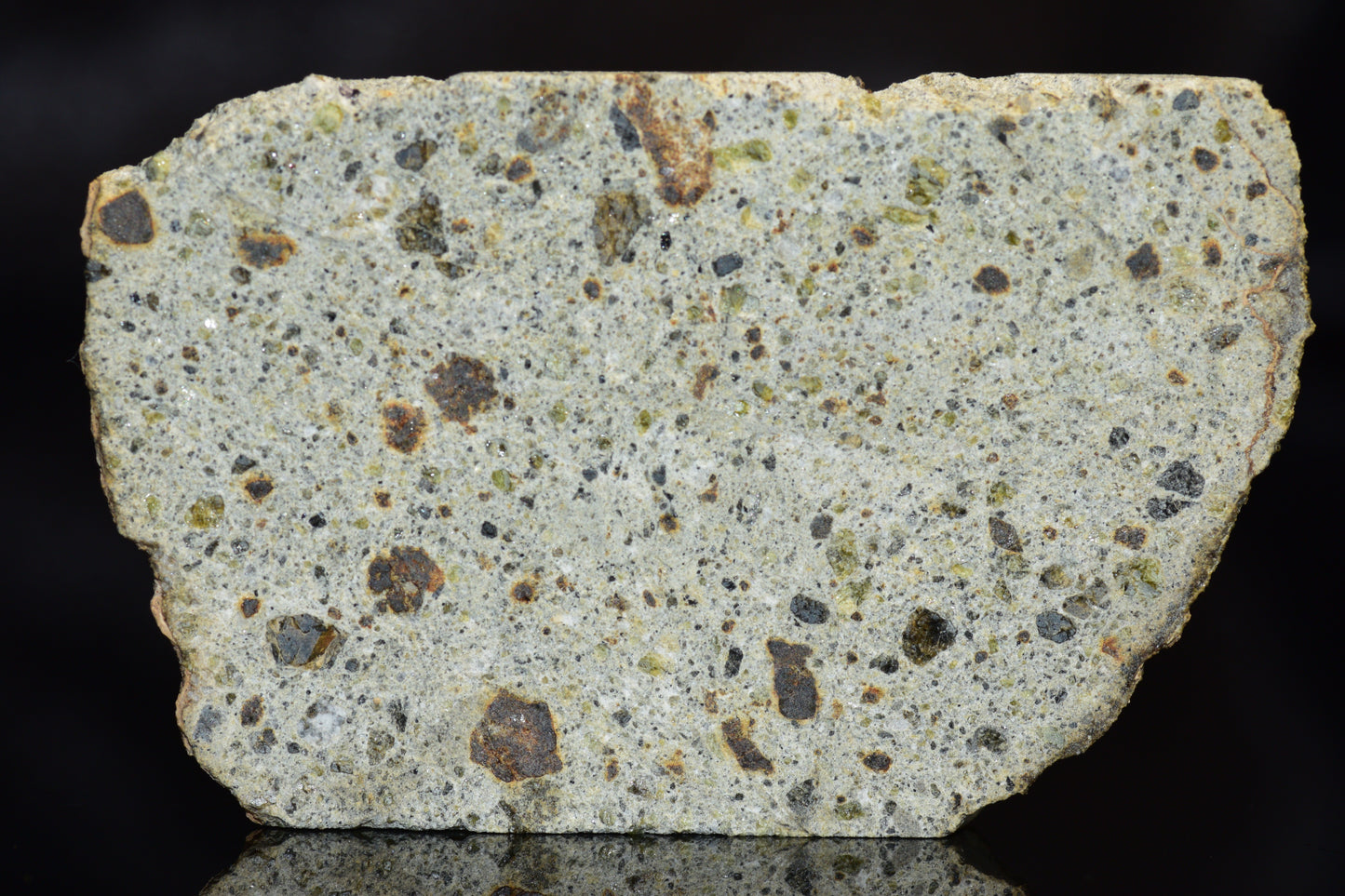 NWA 14868 Diogenite Meteorite – Polymict HED Achondrite for Sale