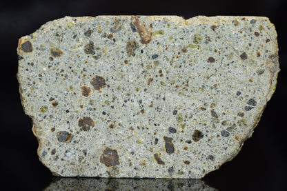 NWA 14868 Diogenite Meteorite – Polymict HED Achondrite for Sale