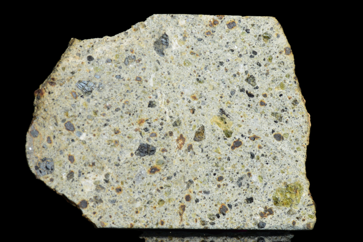 NWA 14868 Diogenite Meteorite – Polymict HED Achondrite for Sale