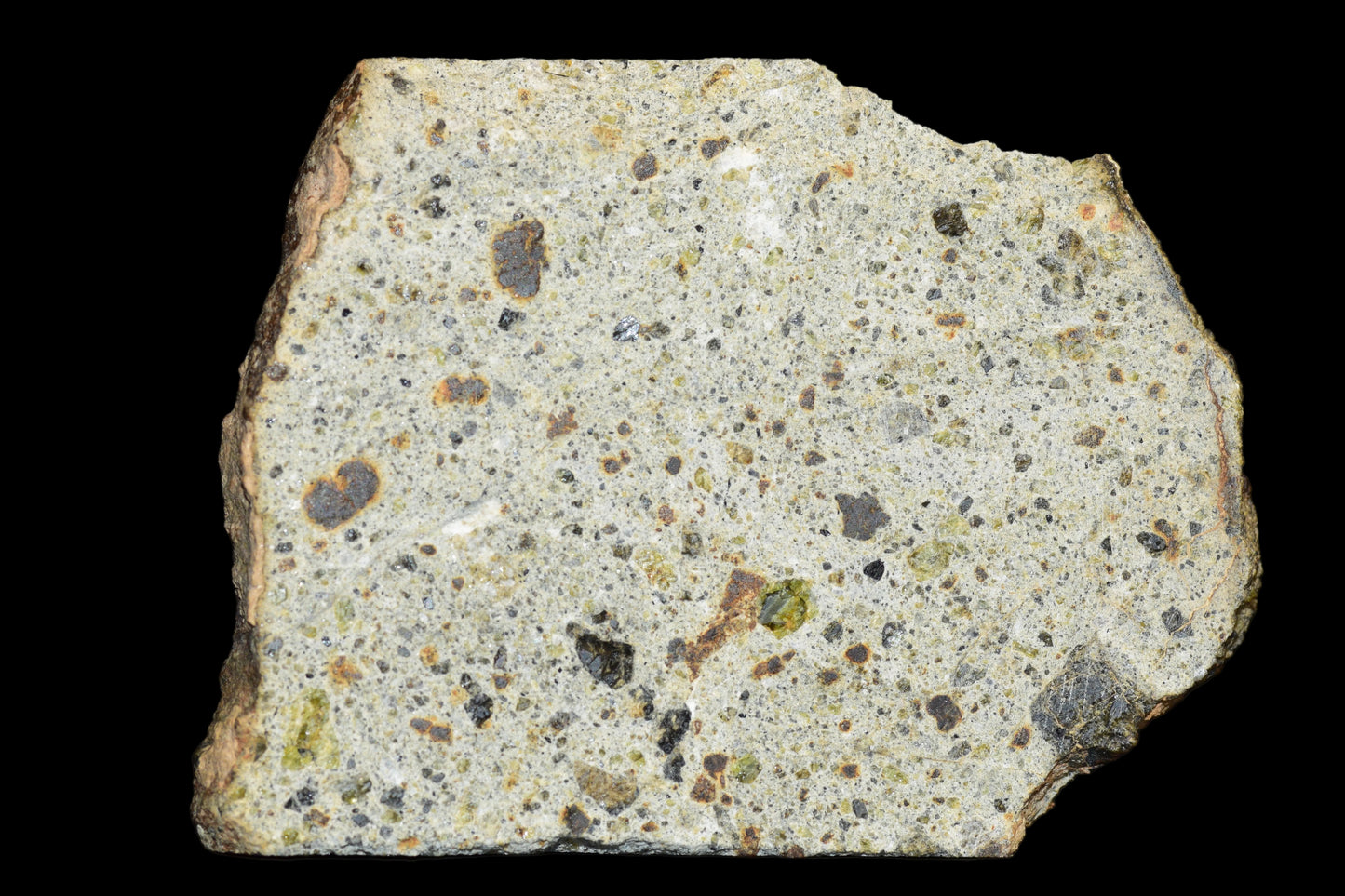 NWA 14868 Diogenite Meteorite – Polymict HED Achondrite for Sale