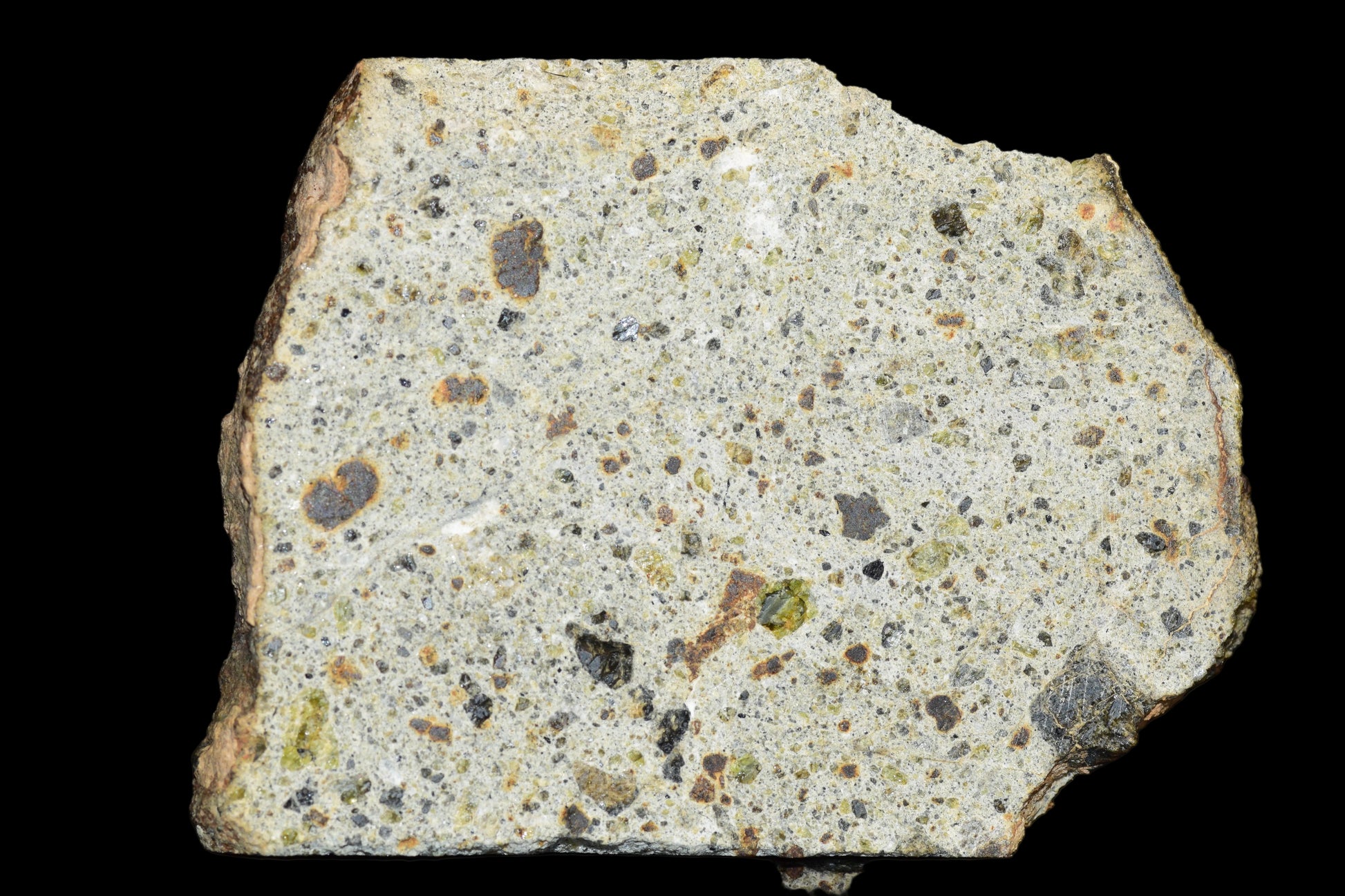 NWA 14868 Diogenite Meteorite – Polymict HED Achondrite for Sale