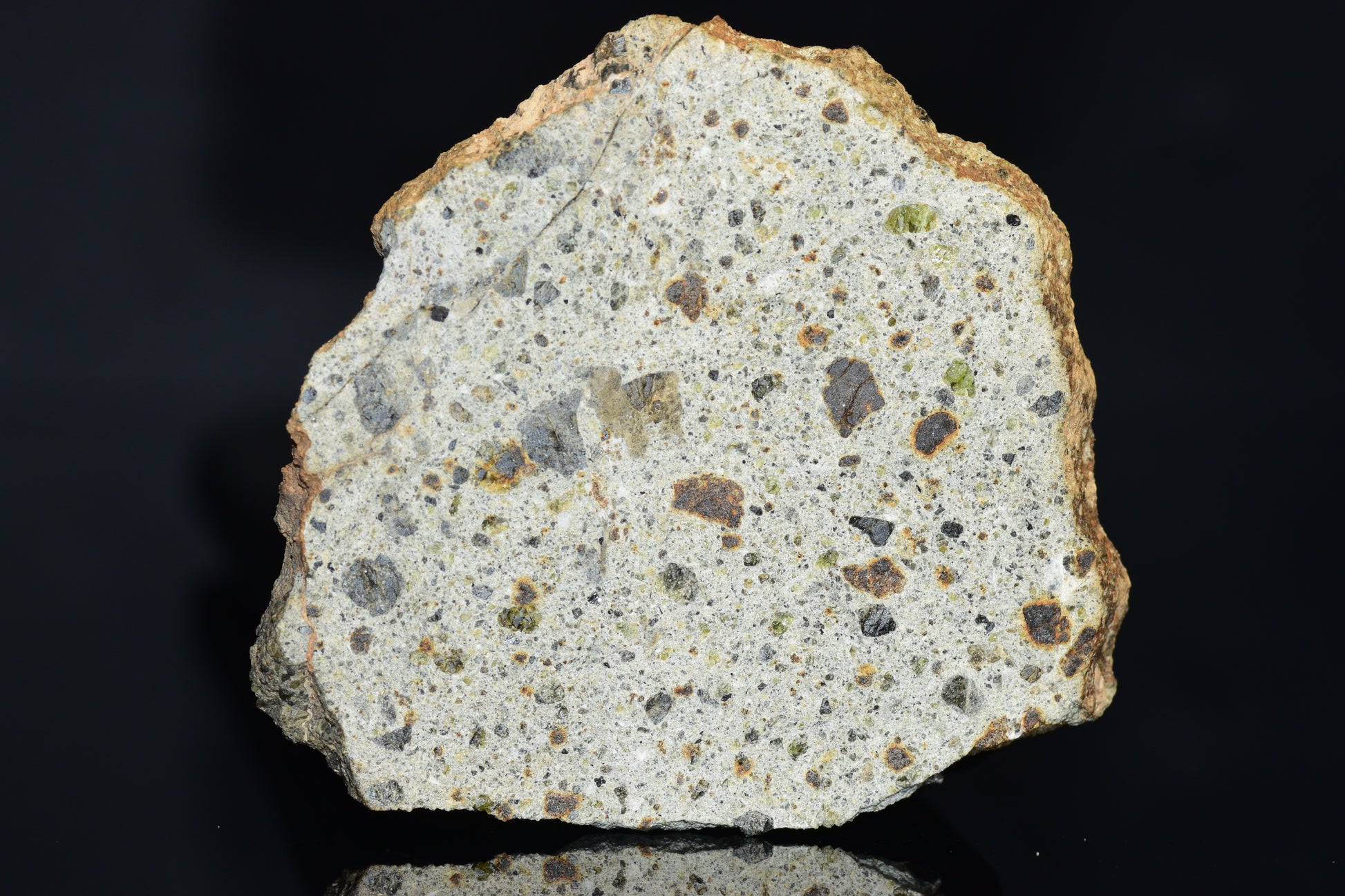 NWA 14868 Diogenite Meteorite – Polymict HED Achondrite for Sale