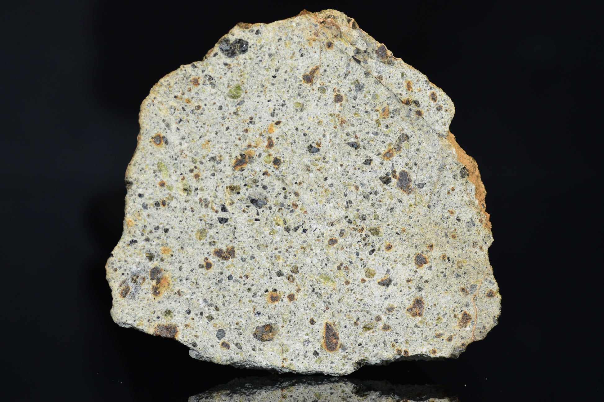 NWA 14868 Diogenite Meteorite – Polymict HED Achondrite for Sale