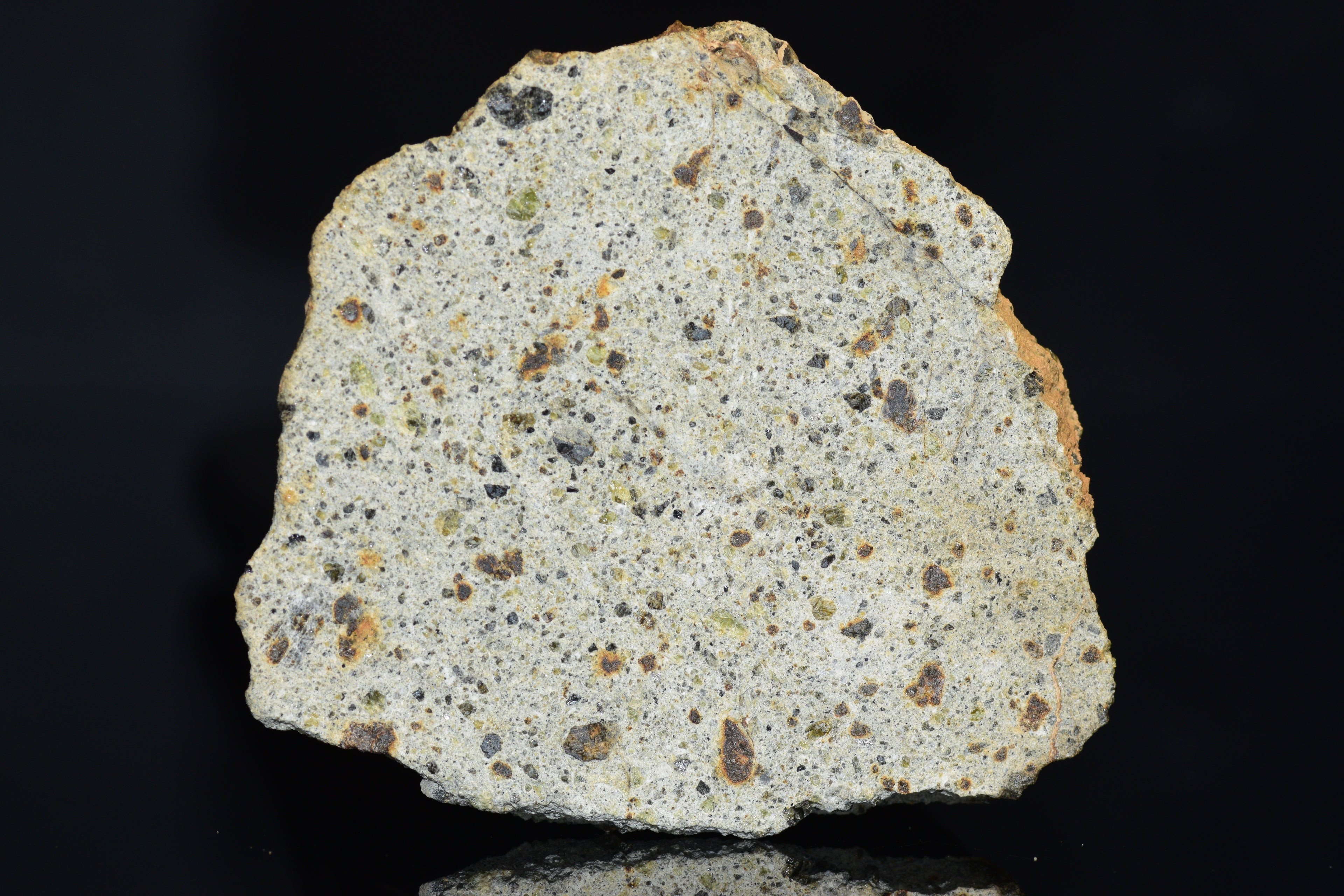 NWA 14868 Diogenite Meteorite – Polymict HED Achondrite for Sale