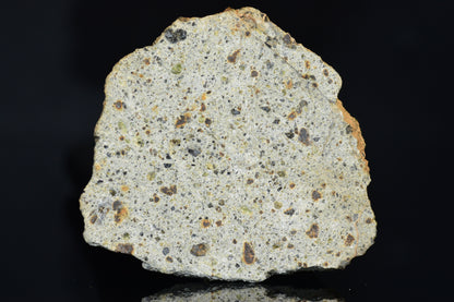 NWA 14868 Diogenite Meteorite – Polymict HED Achondrite for Sale