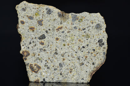 NWA 14868 Diogenite Meteorite – Polymict HED Achondrite for Sale