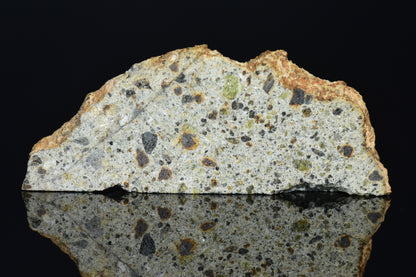 NWA 14868 Diogenite Meteorite – Polymict HED Achondrite for Sale