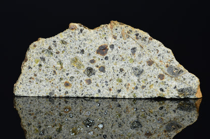 NWA 14868 Diogenite Meteorite – Polymict HED Achondrite for Sale