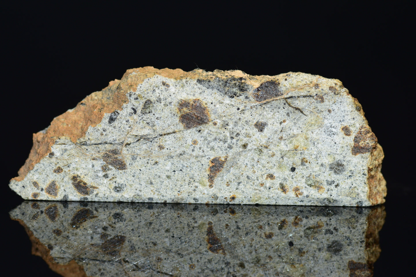 NWA 14868 Diogenite Meteorite – Polymict HED Achondrite for Sale