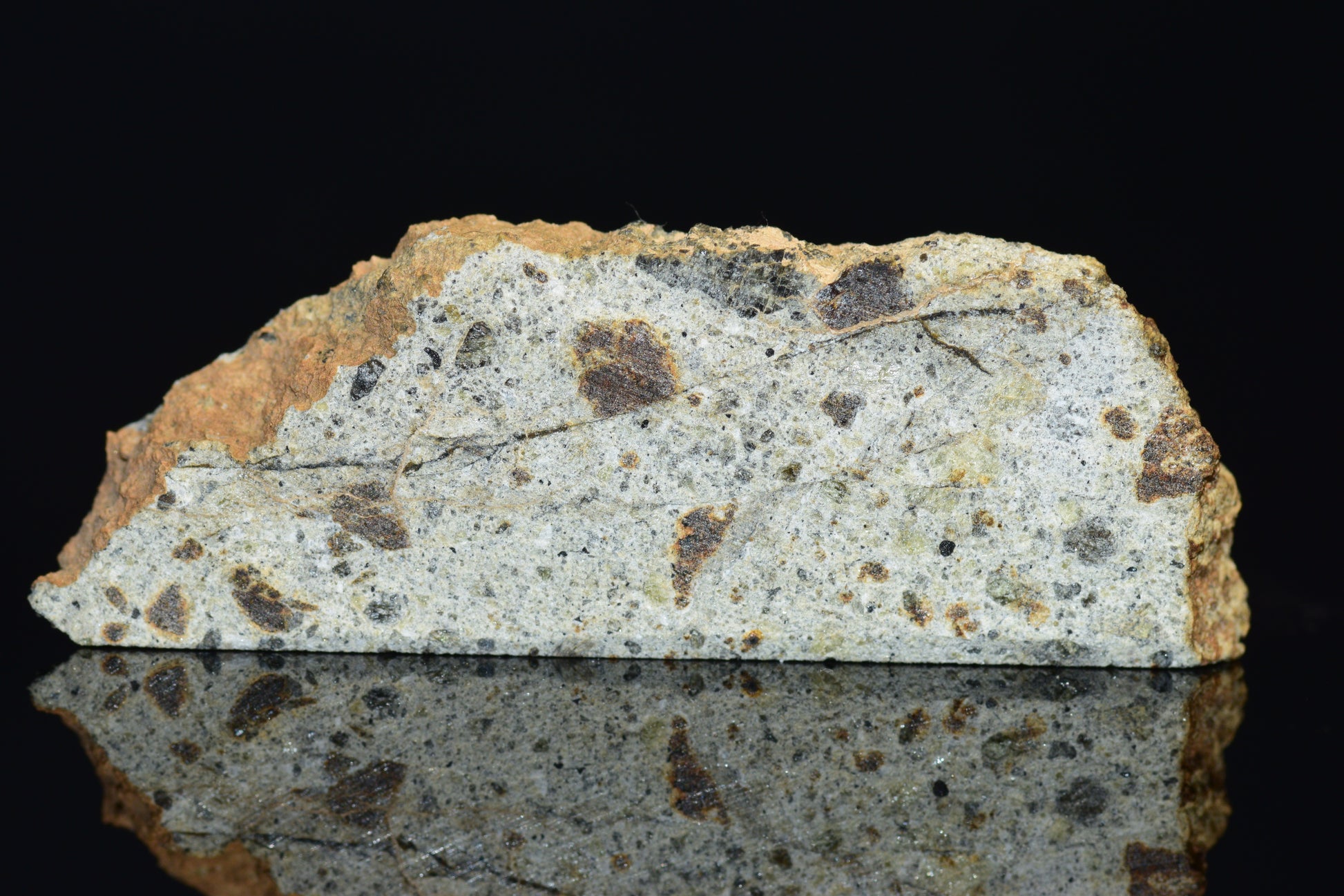 NWA 14868 Diogenite Meteorite – Polymict HED Achondrite for Sale