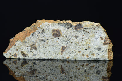 NWA 14868 Diogenite Meteorite – Polymict HED Achondrite for Sale