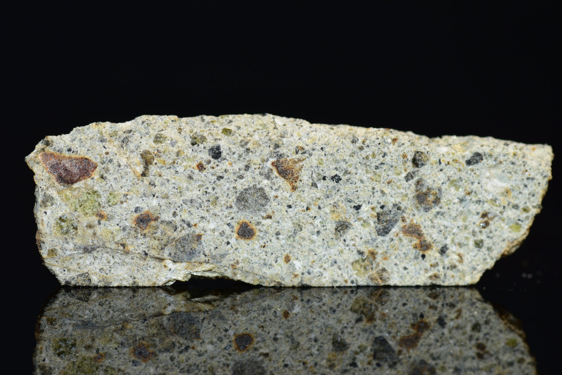 NWA 14868 Diogenite Meteorite – Polymict HED Achondrite for Sale