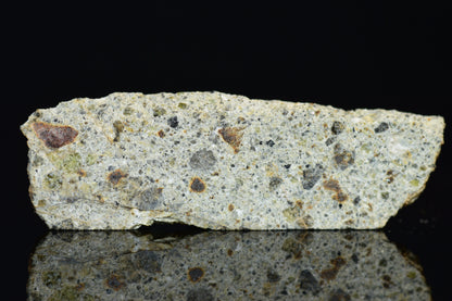 NWA 14868 Diogenite Meteorite – Polymict HED Achondrite for Sale