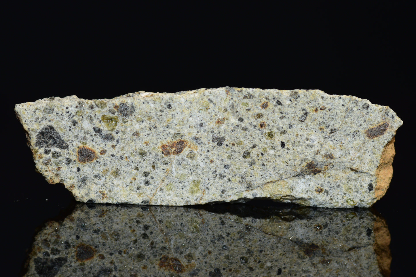 NWA 14868 Diogenite Meteorite – Polymict HED Achondrite for Sale