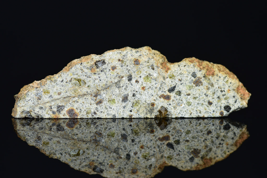 NWA 14868 Diogenite Meteorite – Polymict HED Achondrite for Sale