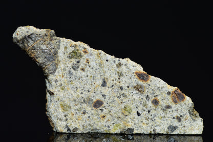 NWA 14868 Diogenite Meteorite – Polymict HED Achondrite for Sale