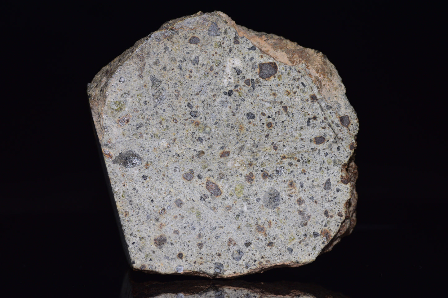 NWA 14868 Diogenite Meteorite – Polymict HED Achondrite main mass