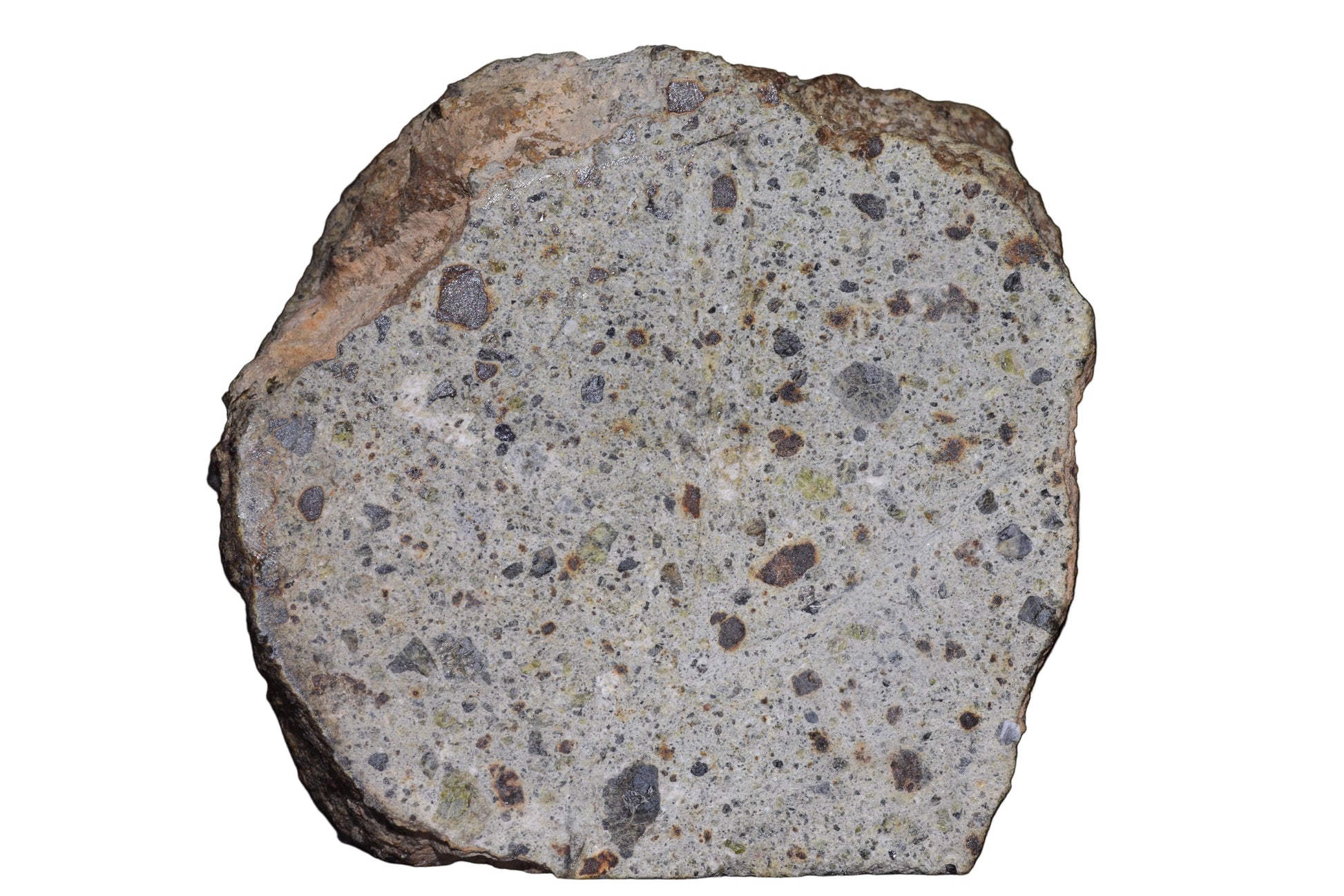 NWA 14868 Diogenite Meteorite – Polymict HED Achondrite main mass