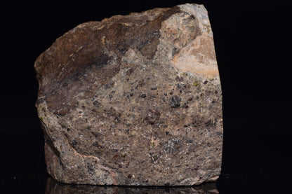 NWA 14868 Diogenite Meteorite – Polymict HED Achondrite main mass