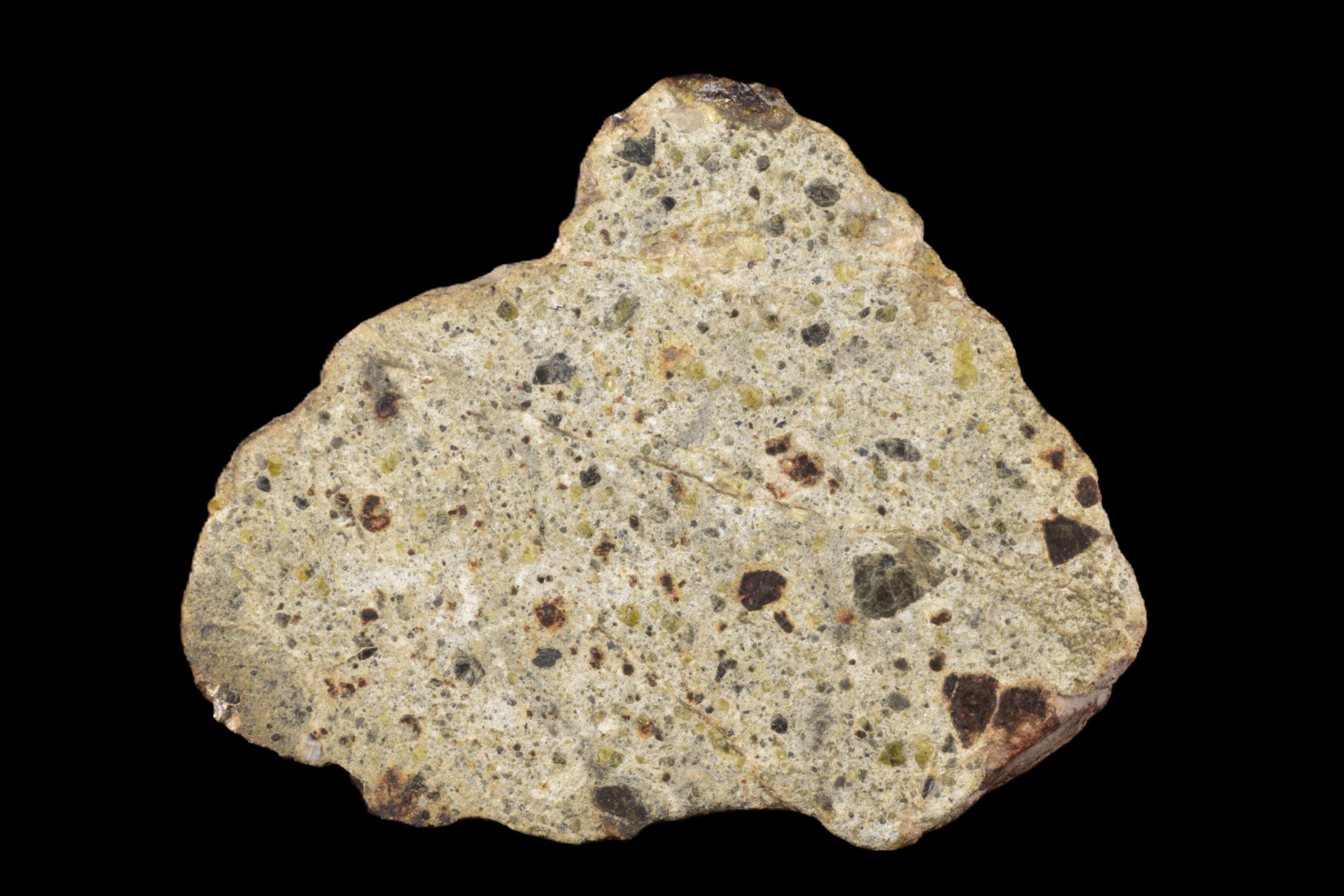 NWA 14868 Diogenite PM 53.85 G Endcut