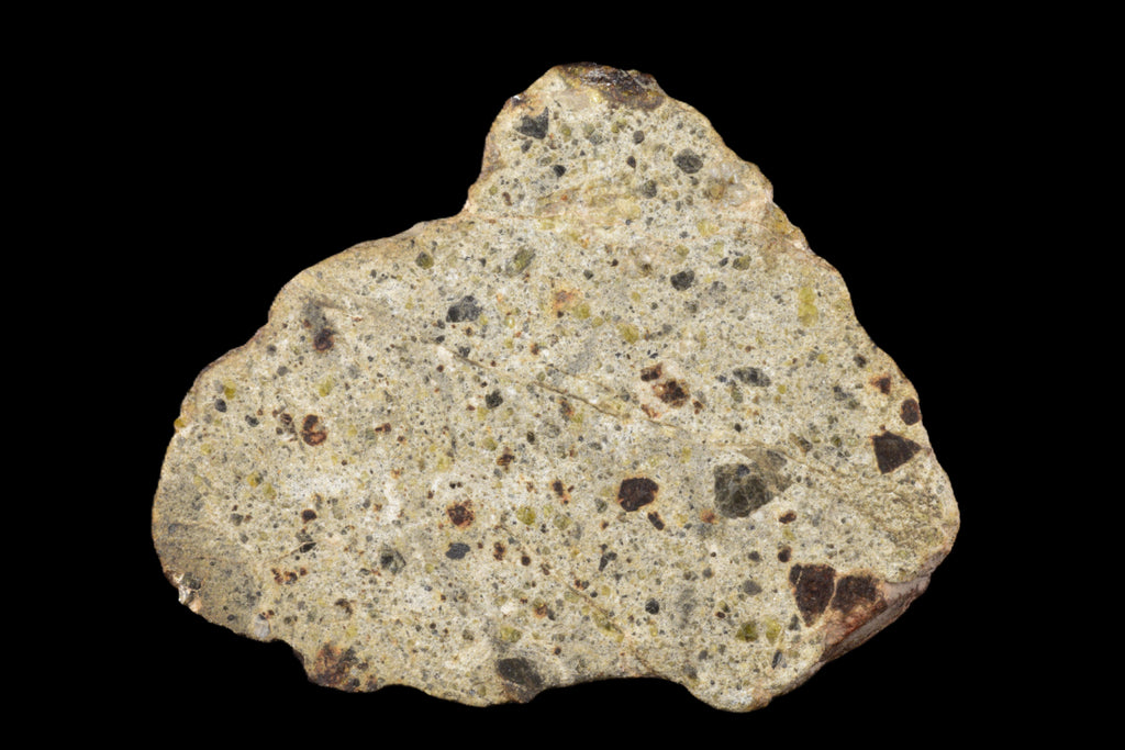 NWA 14868 Diogenite PM 53.85 G Endcut