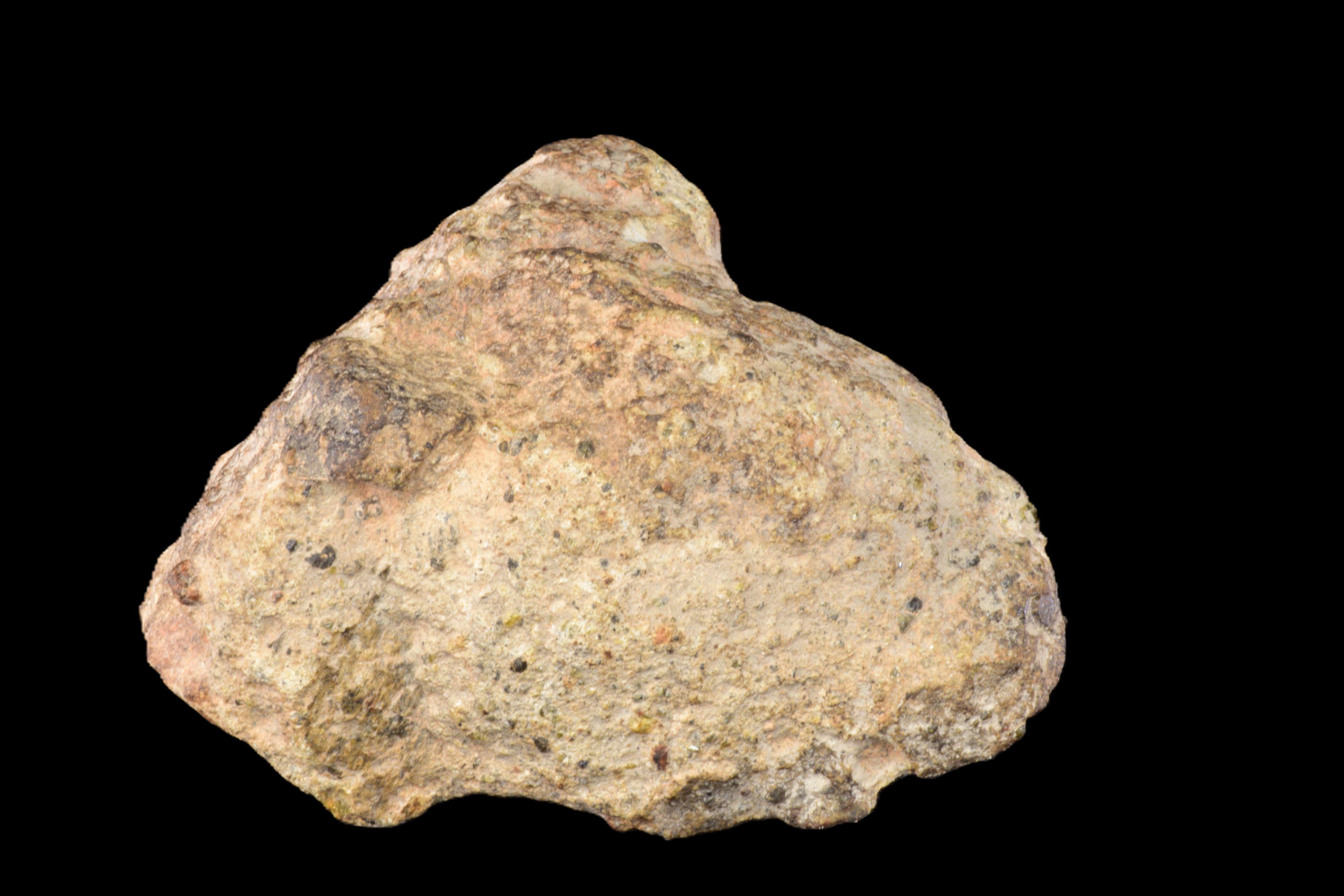 NWA 14868 Diogenite PM 53.85 G Endcut