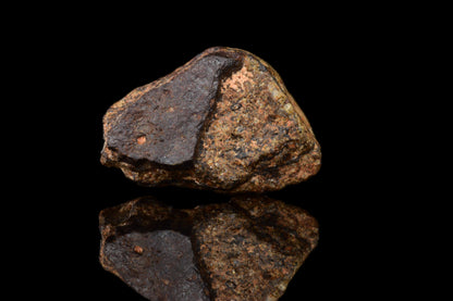 NWA 14869 Diogenite melt breccia 0.88 g