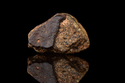 NWA 14869 Diogenite melt breccia 0.88 g