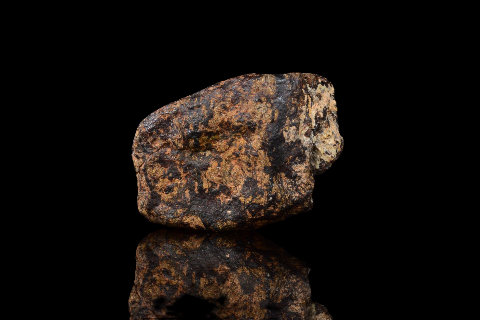 NWA 14869 Diogenite melt breccia 0.95 g