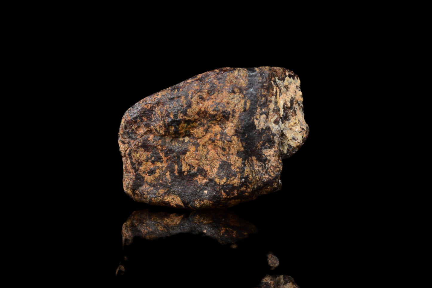 NWA 14869 Diogenite melt breccia 0.95 g