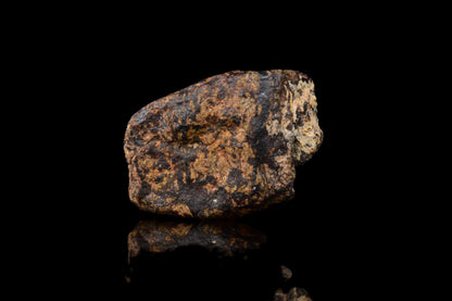 NWA 14869 Diogenite melt breccia 0.95 g