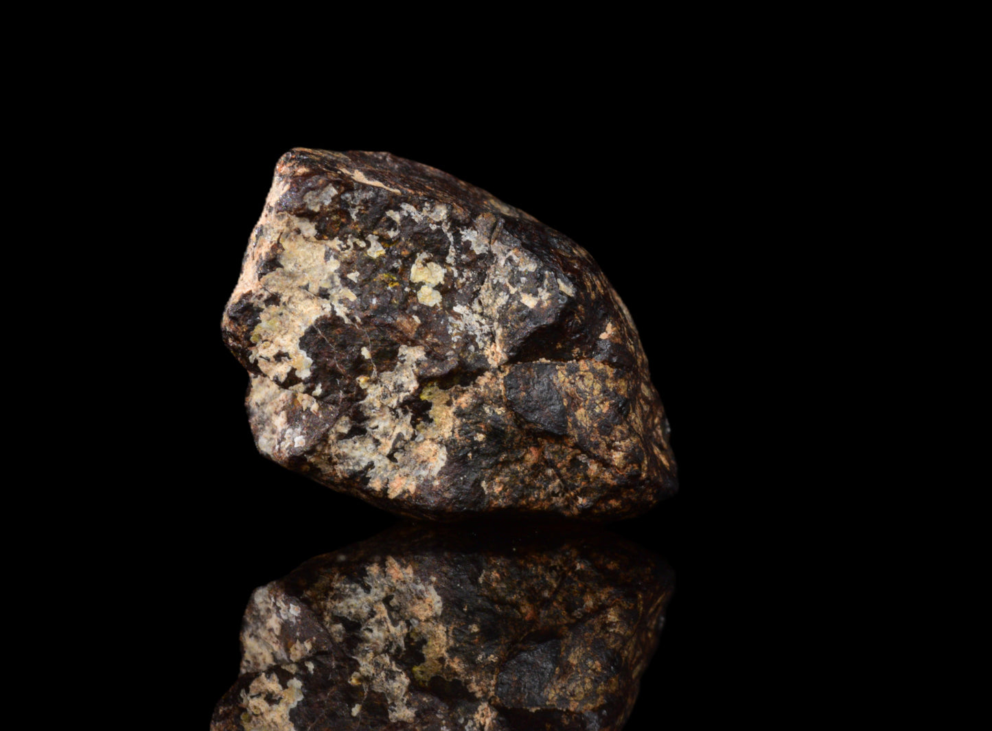 NWA 14869 Diogenite melt breccia 0.95 g