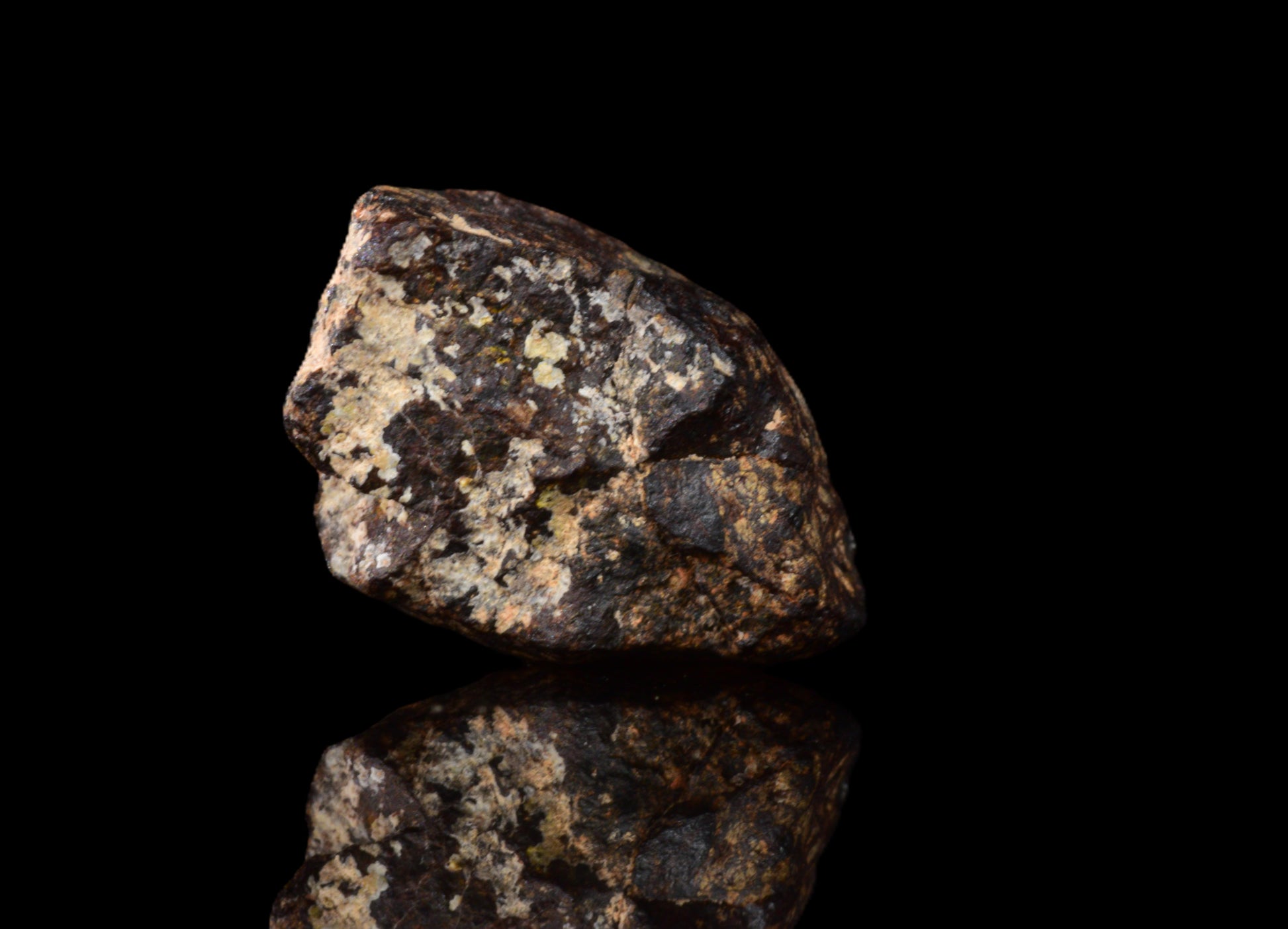 NWA 14869 Diogenite melt breccia 0.95 g