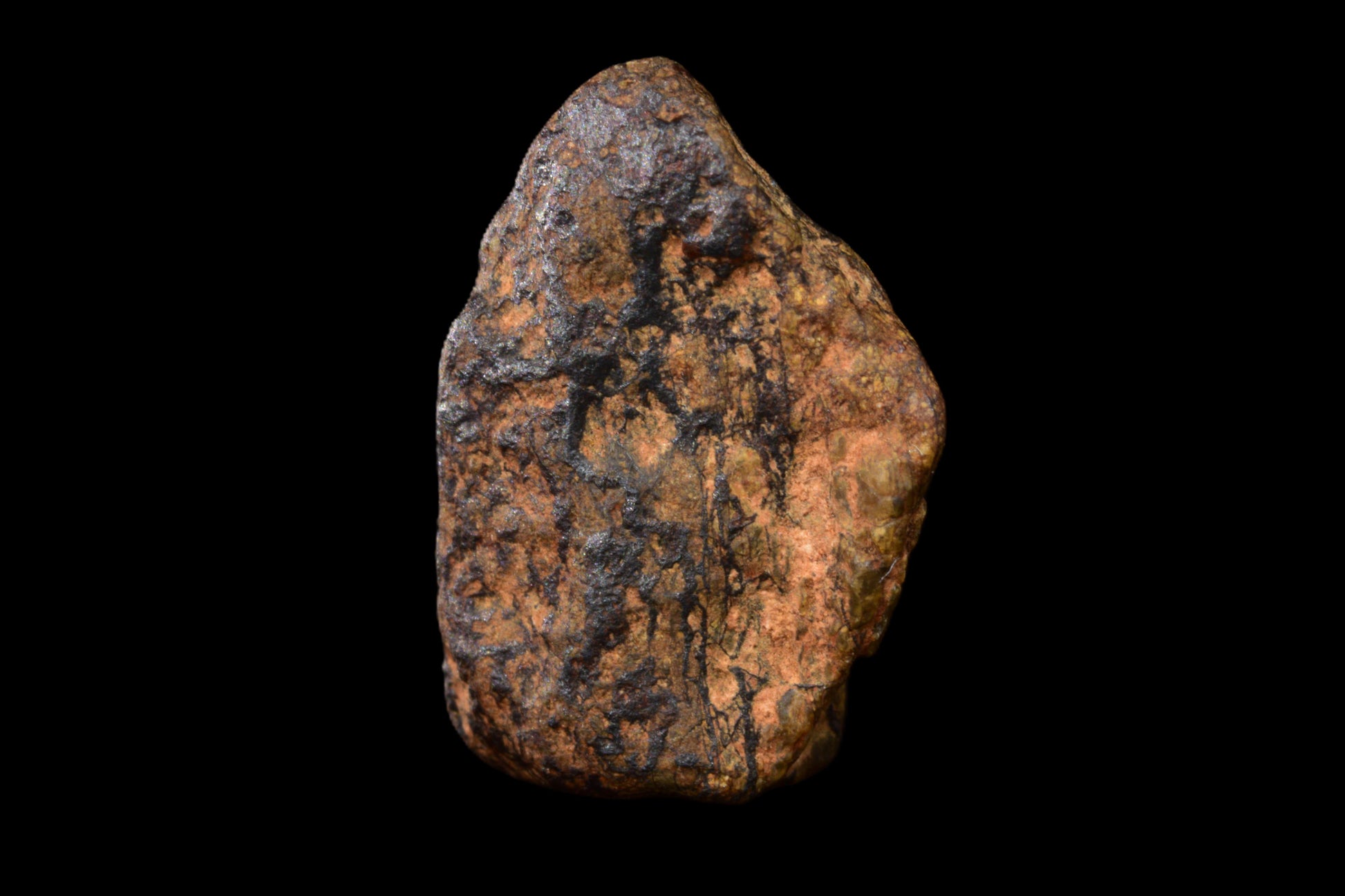 NWA 14869 Diogenite melt breccia 1.19 g