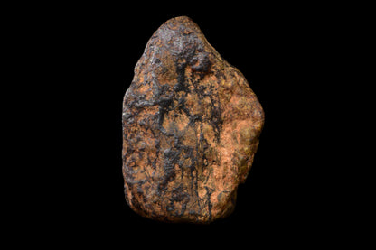 NWA 14869 Diogenite melt breccia 1.19 g