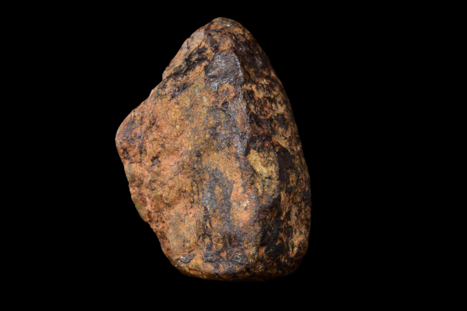 NWA 14869 Diogenite melt breccia 1.19 g