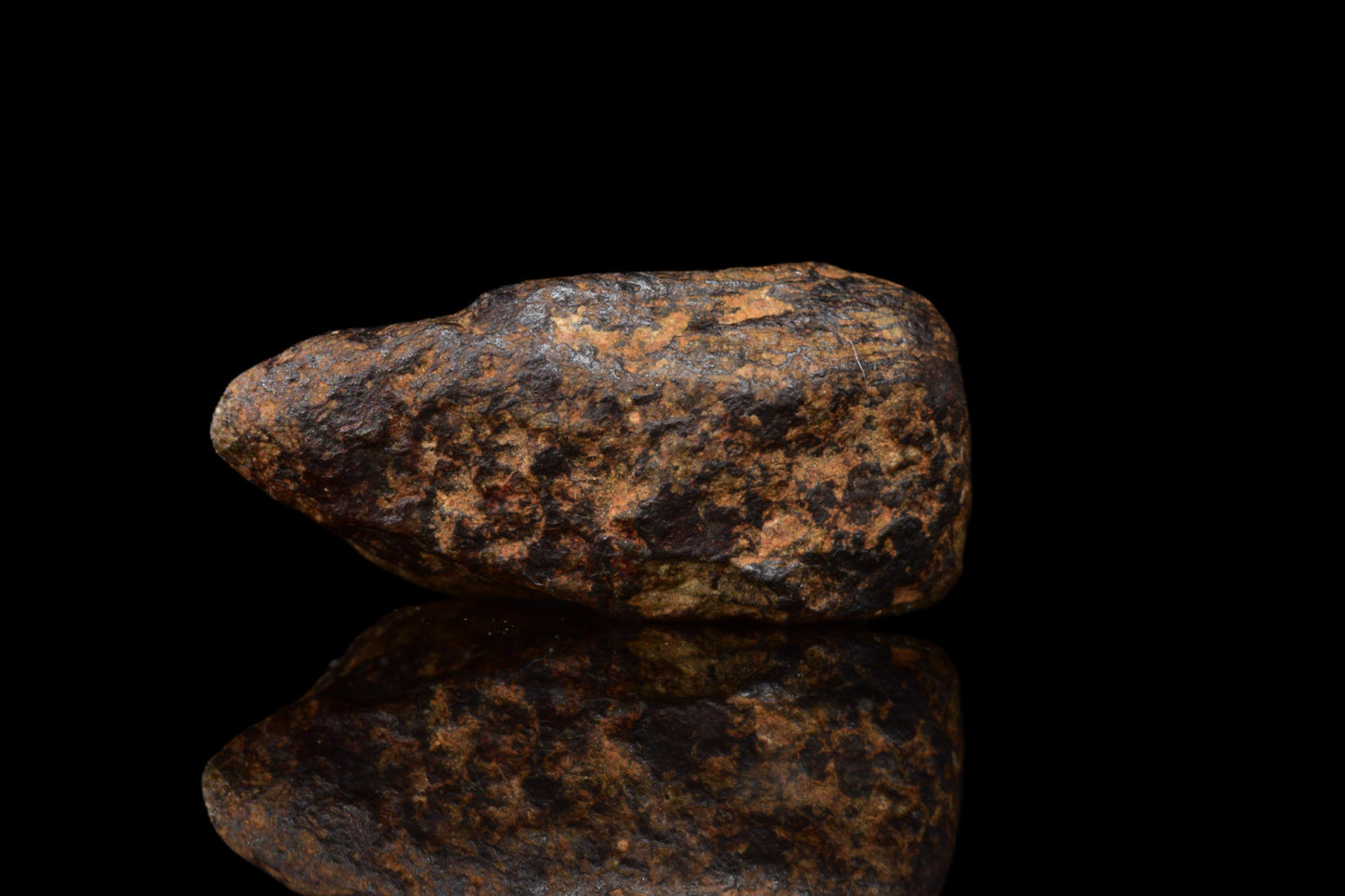 NWA 14869 Diogenite melt breccia 1.19 g