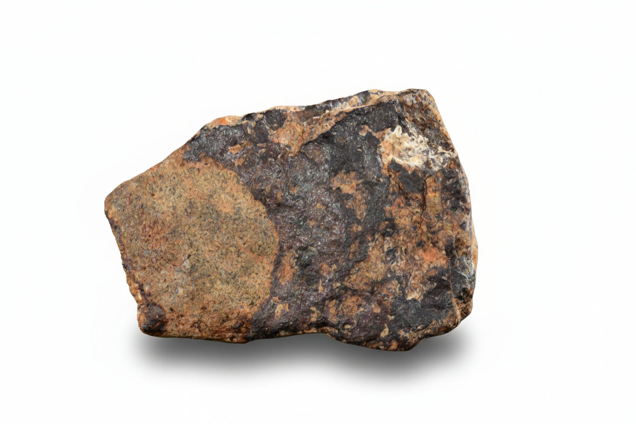 NWA 14869 Diogenite melt breccia 1.61 g