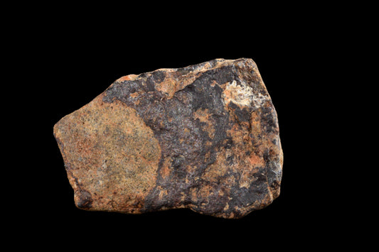 NWA 14869 Diogenite melt breccia 1.61 g